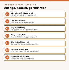 Tuần 8/13 · Đào tạo nhân viên: dạy ít mà chắc, đội làm đều tay